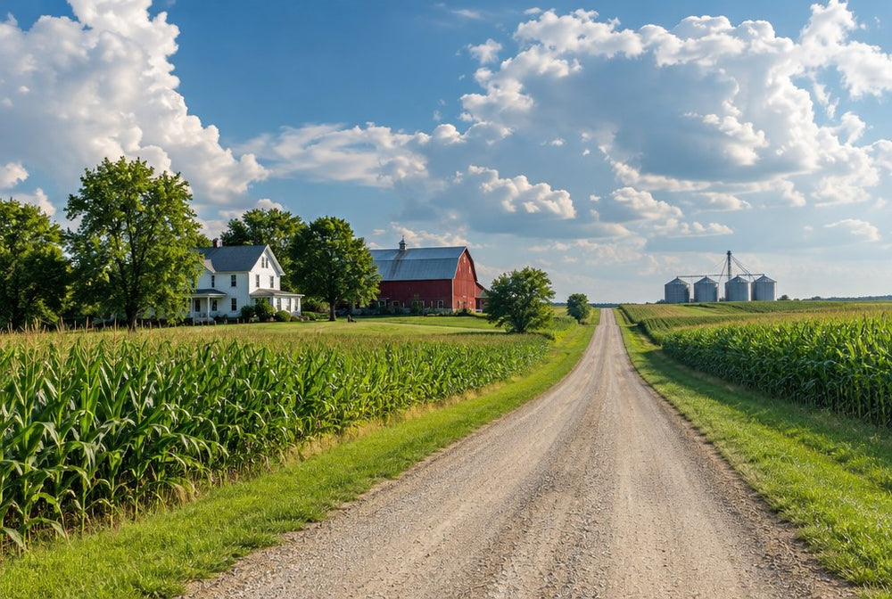 A north Iowa country road with cornfields, a white farmhouse and a red barn